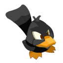 Kuakuá negro