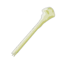 Bastón de magia falsa