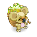 Koalak Coco