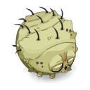 Garrapocha