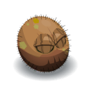 Nozdekoko