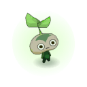 Dathura Bud