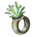 Korriander Ring