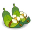 Printatanes