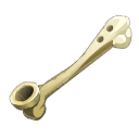 Koolich Staff