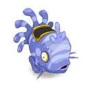Muldo Indigo