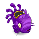 Muldo Prune