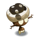 Bulbipandoja