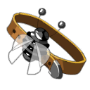 Escaracinto negro