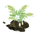 Yuyo