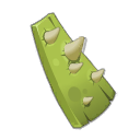 Capetuc