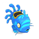 Muldo Azur et Turquoise