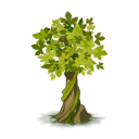 Sticky Tree