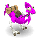 Dragopavo orquídeo