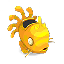 Amber and Golden Seemyool