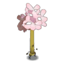 Acuacia embrujada