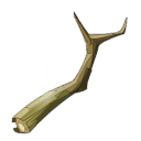 Lady Root