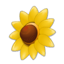 Wild Sunflower Shield