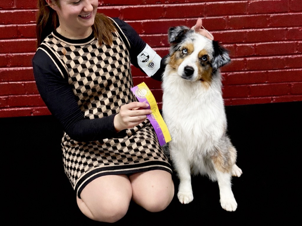 Dog Taada
