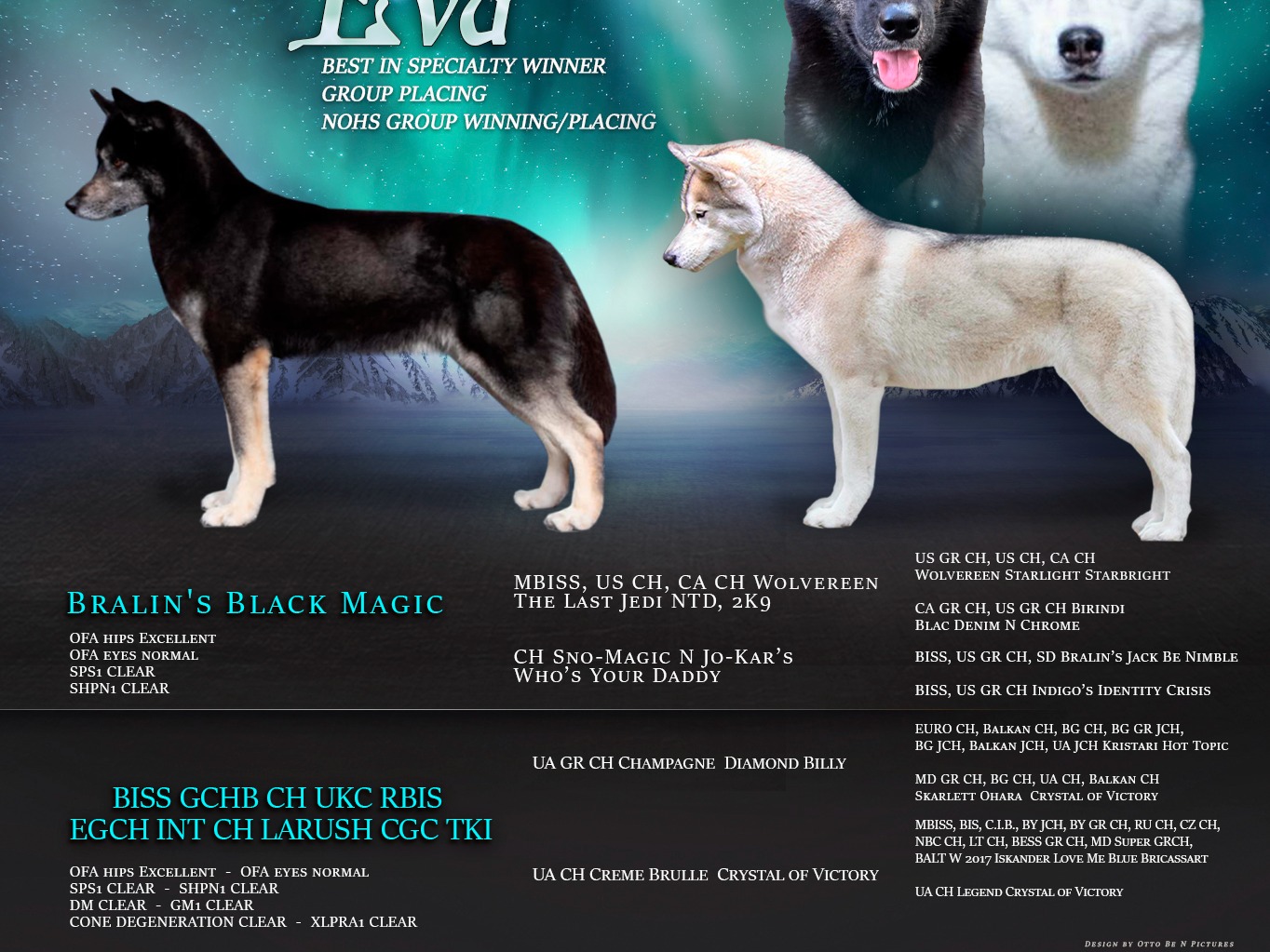 Litter Magic x Eva