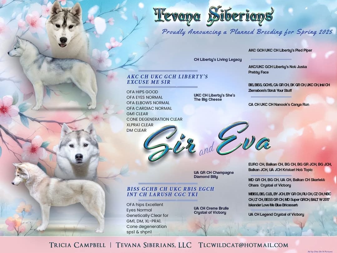 Litter Preview 4
