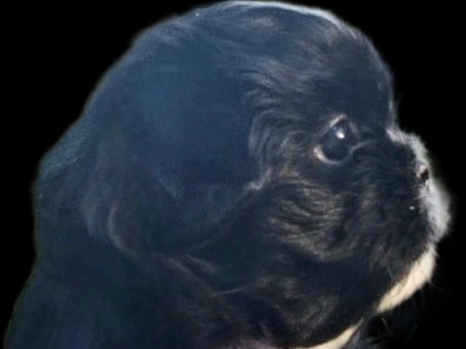 Profile 1