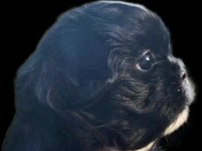 Profile 2