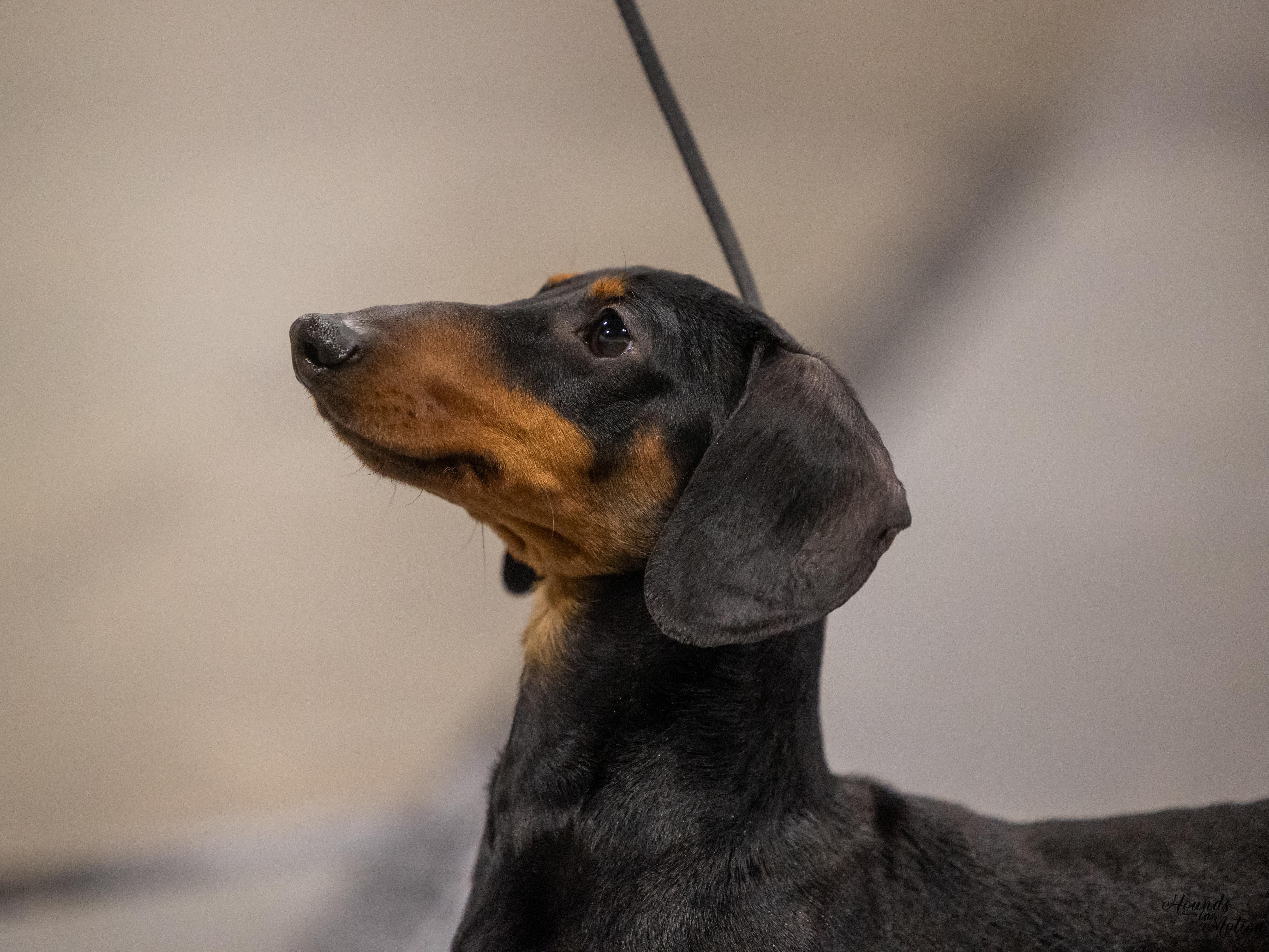 Profile 1