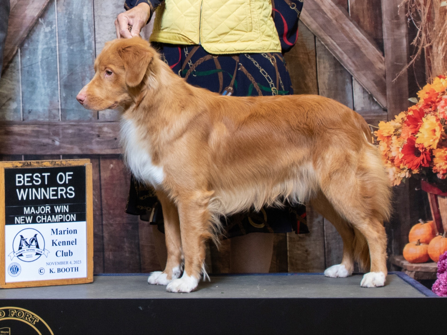 Dog Cooper