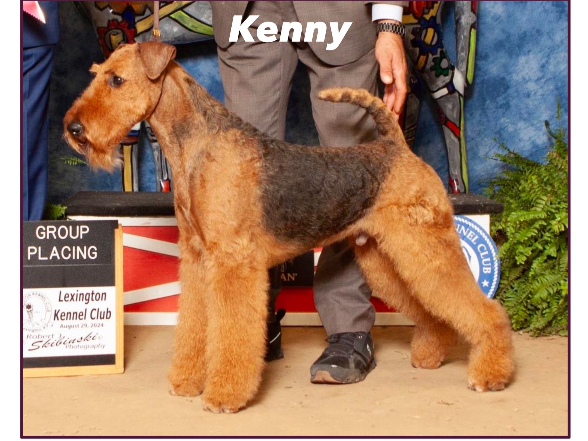 Dog Kenny