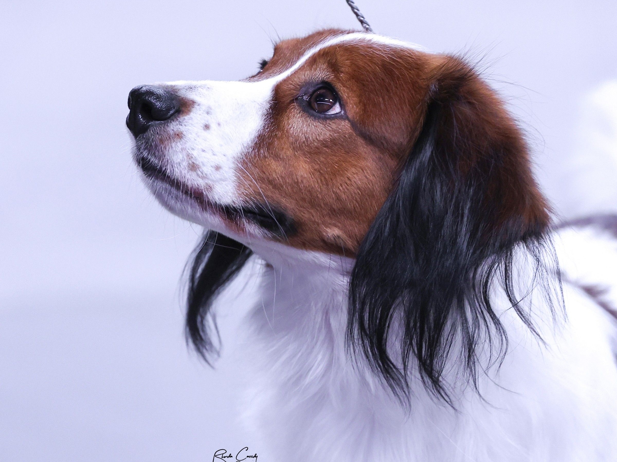 Profile 1