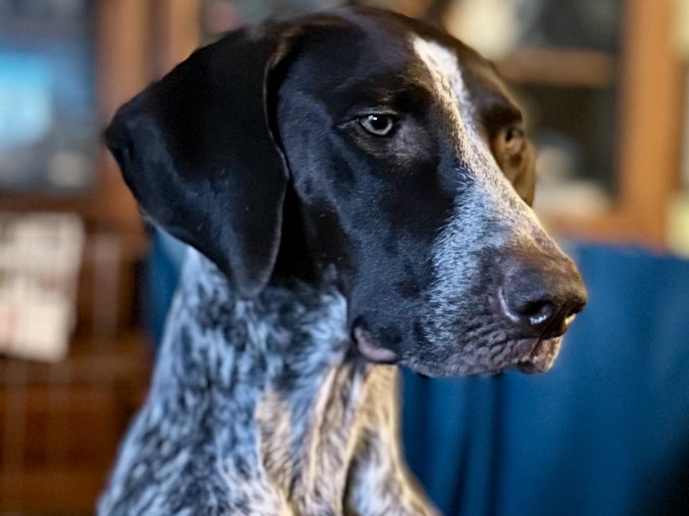 Profile 1