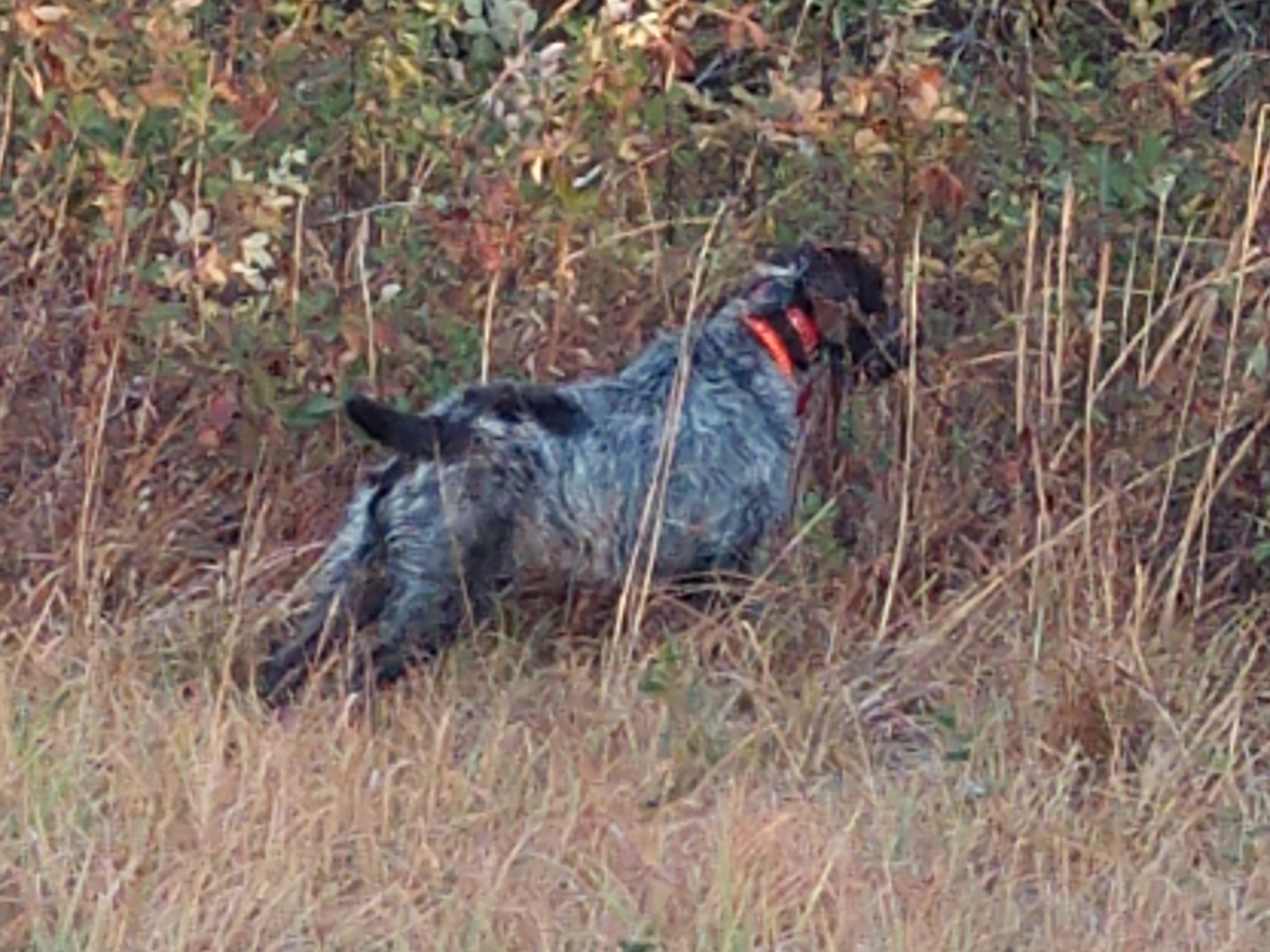 Profile 1