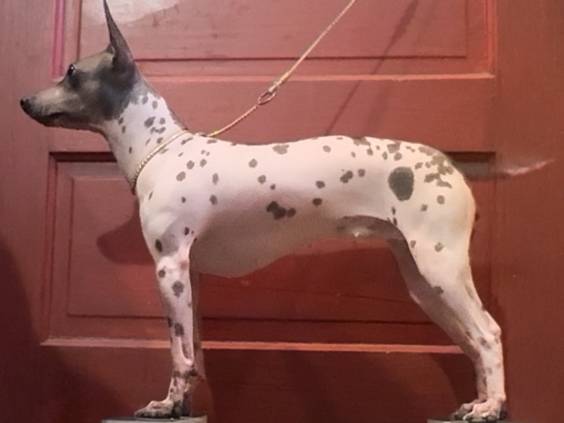 Profile 1