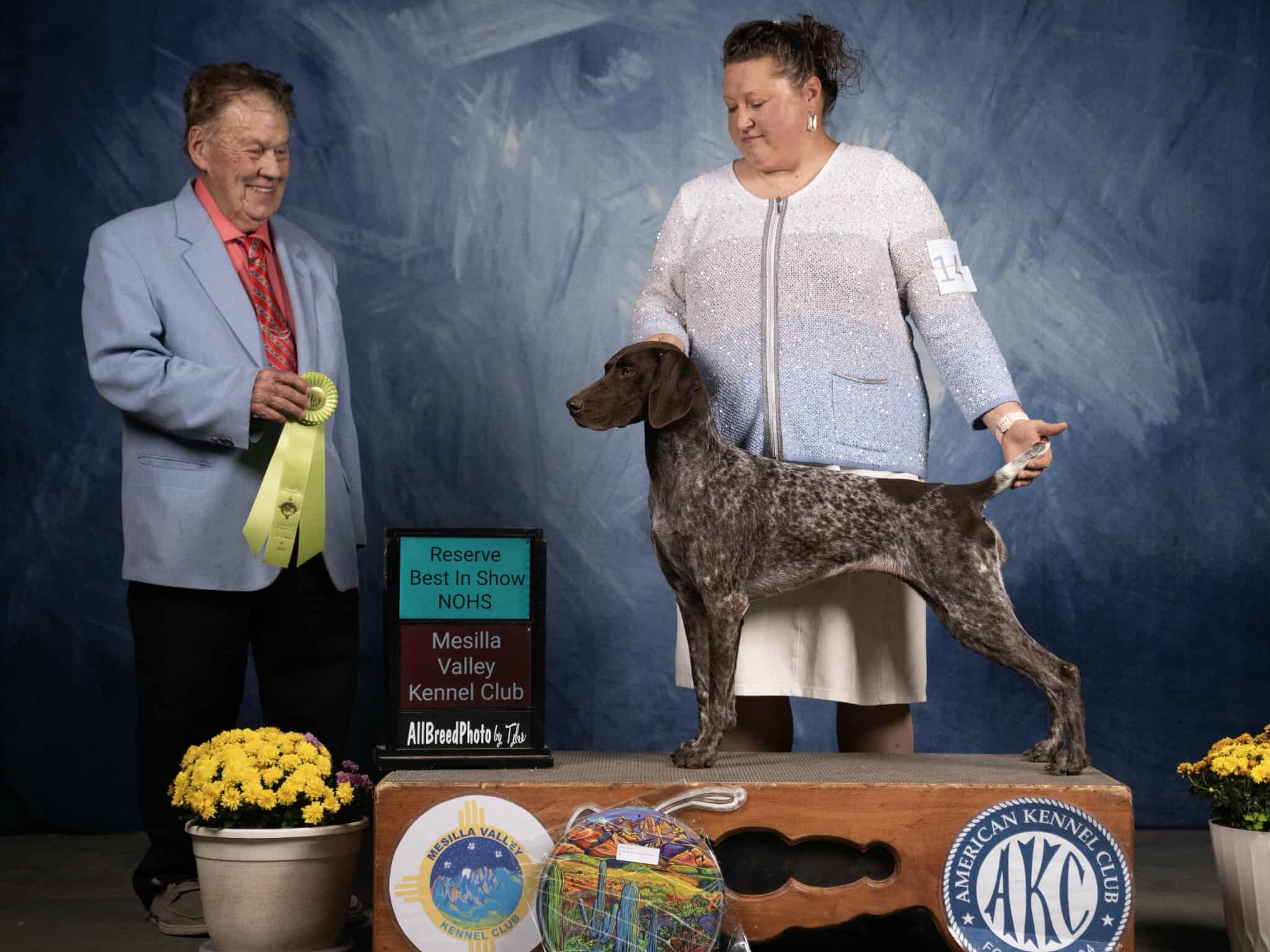 Dog Leia