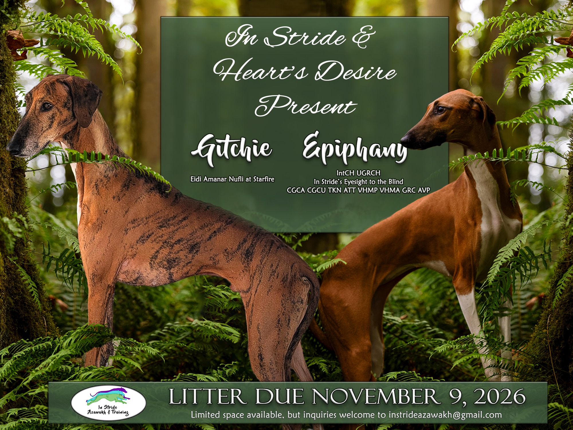 Litter Gitchie x Epiphany