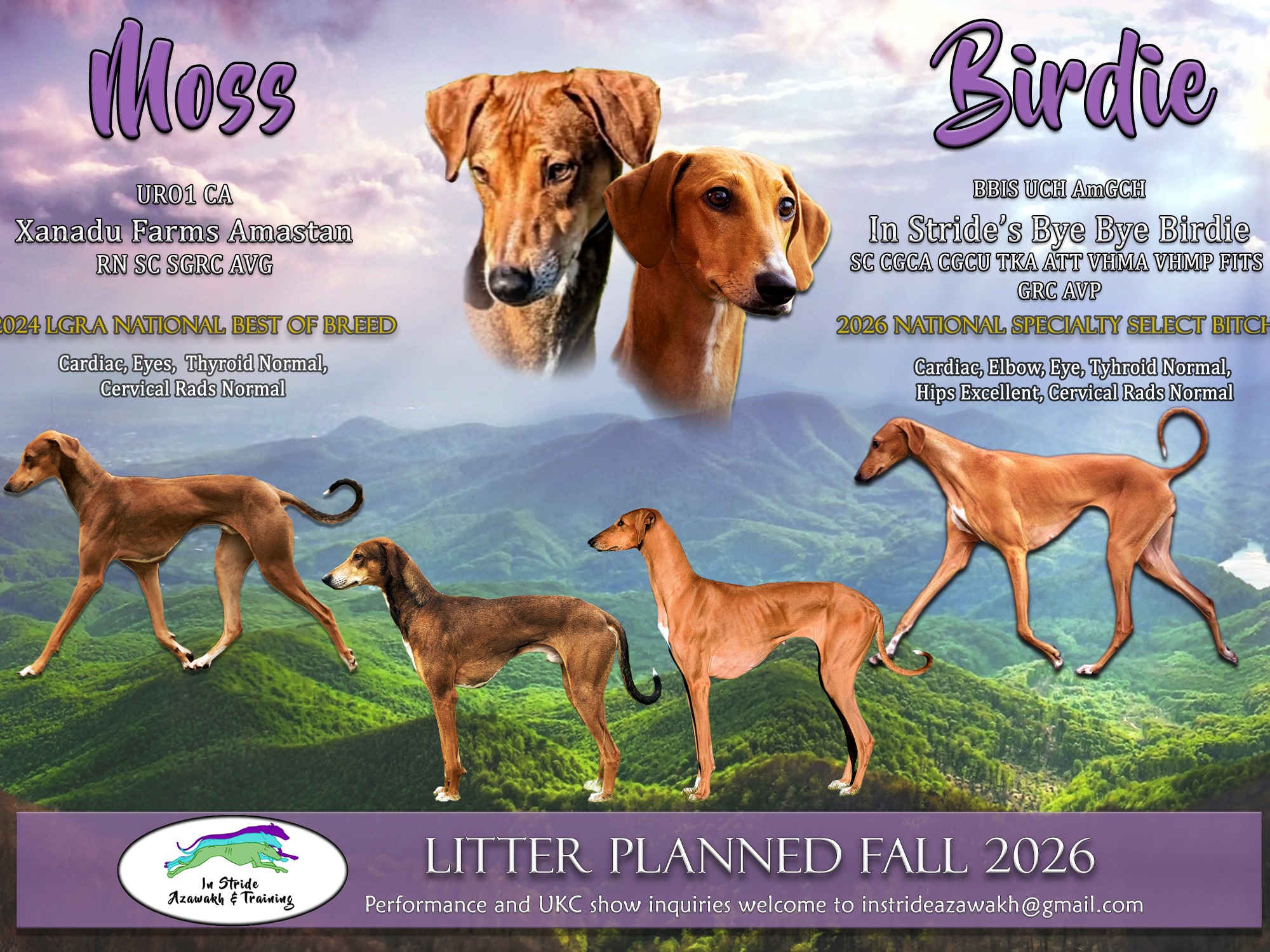 Litter Moss x Birdie