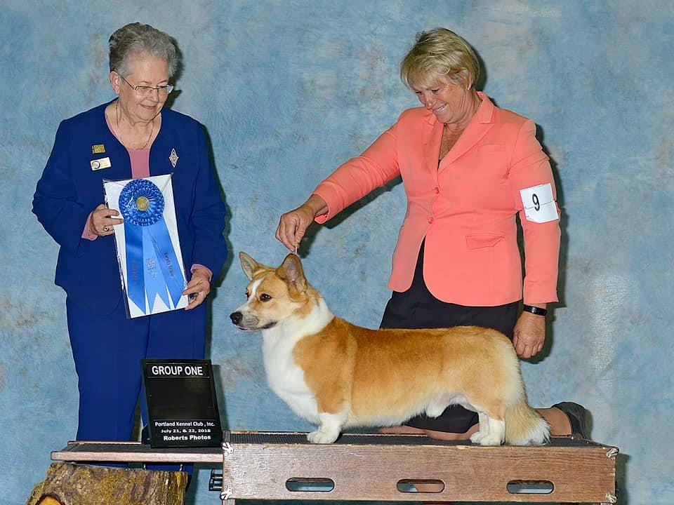 Dog Oscar