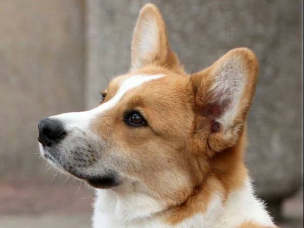 Profile 1