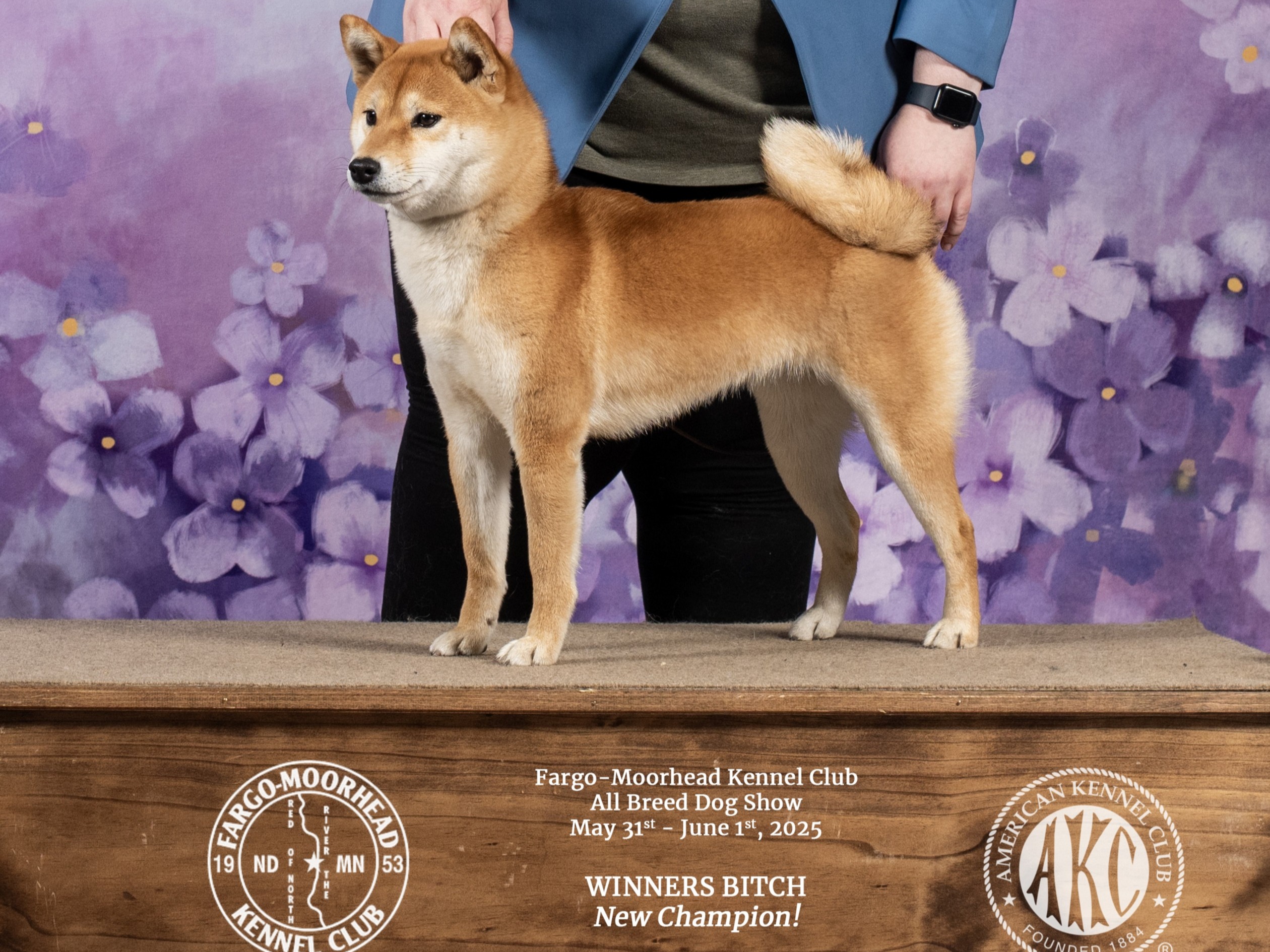 Dog Byakko