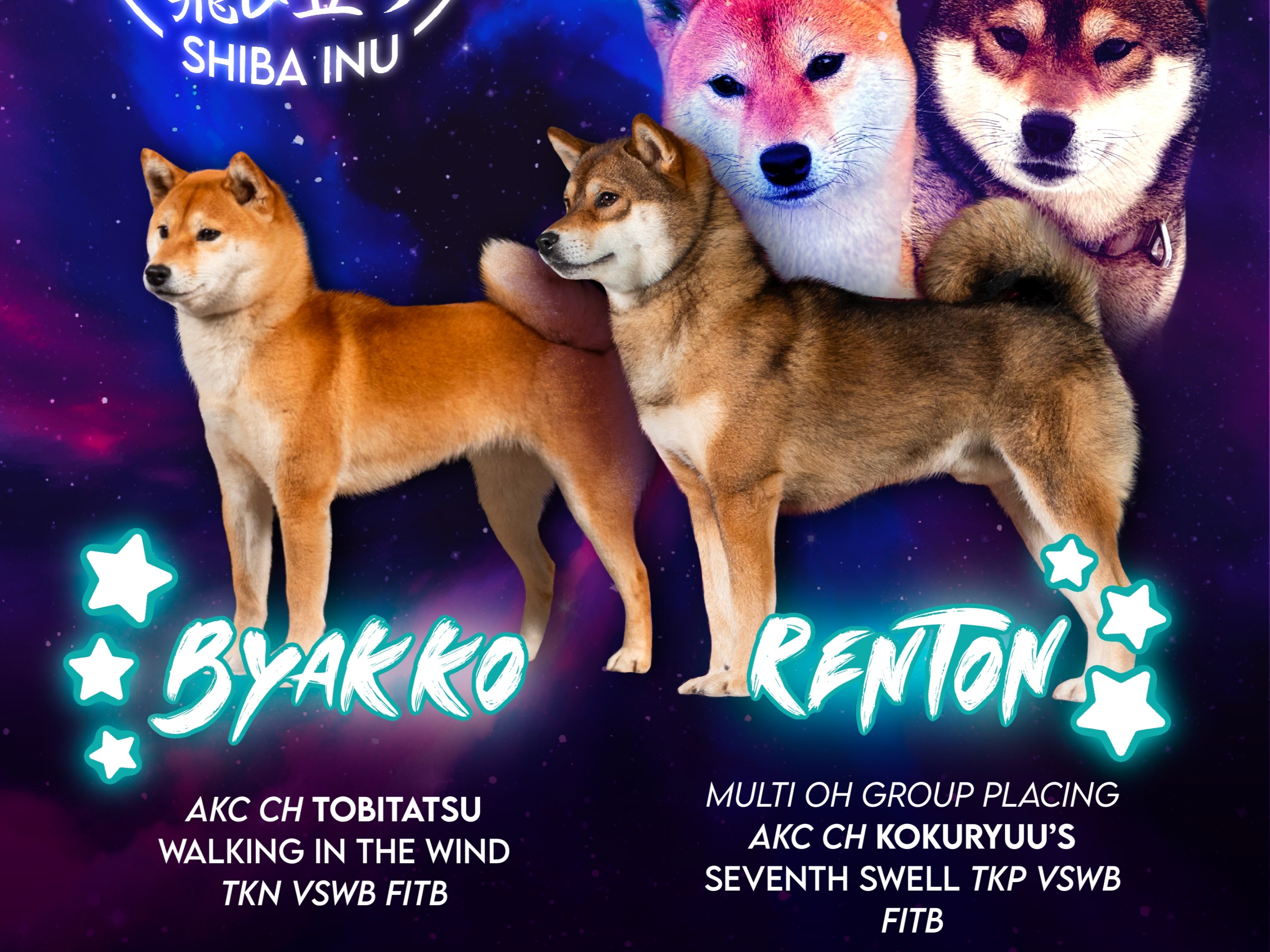 Litter Renton x Byakko