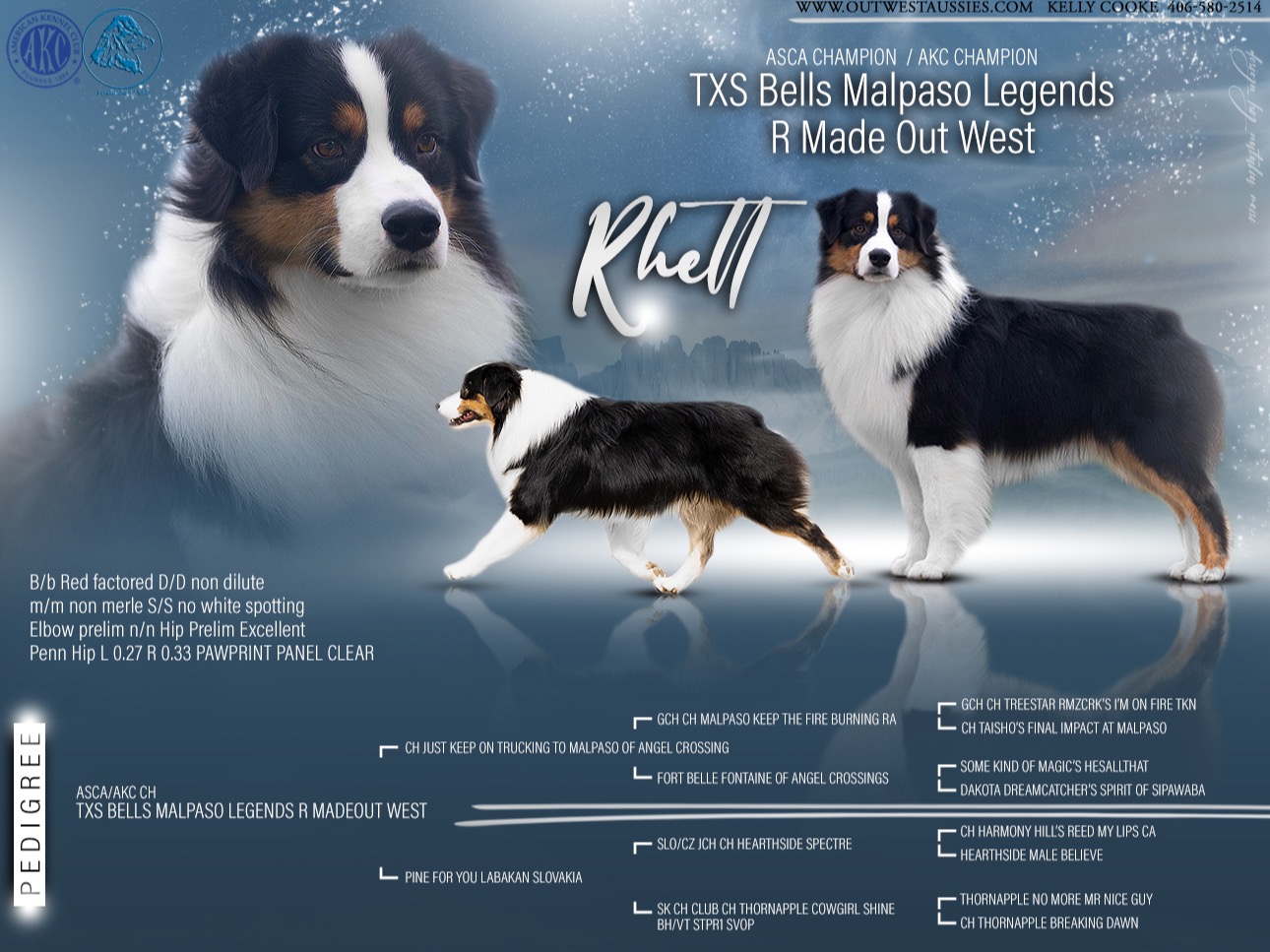 Dog Rhett
