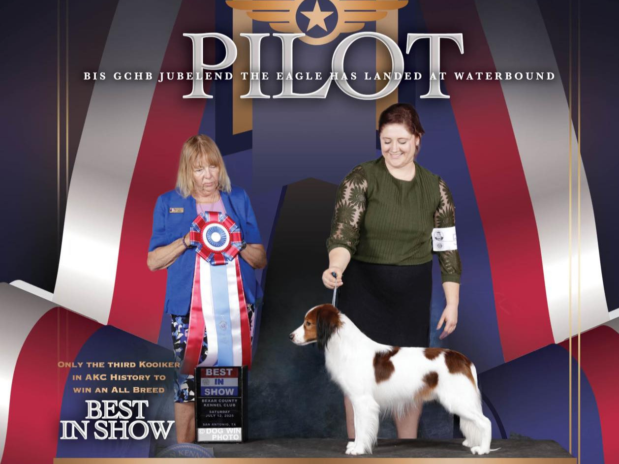Dog Pilot