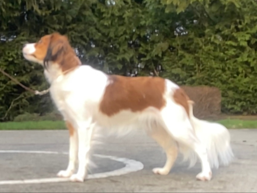 Profile 1