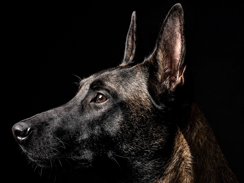 Profile 1