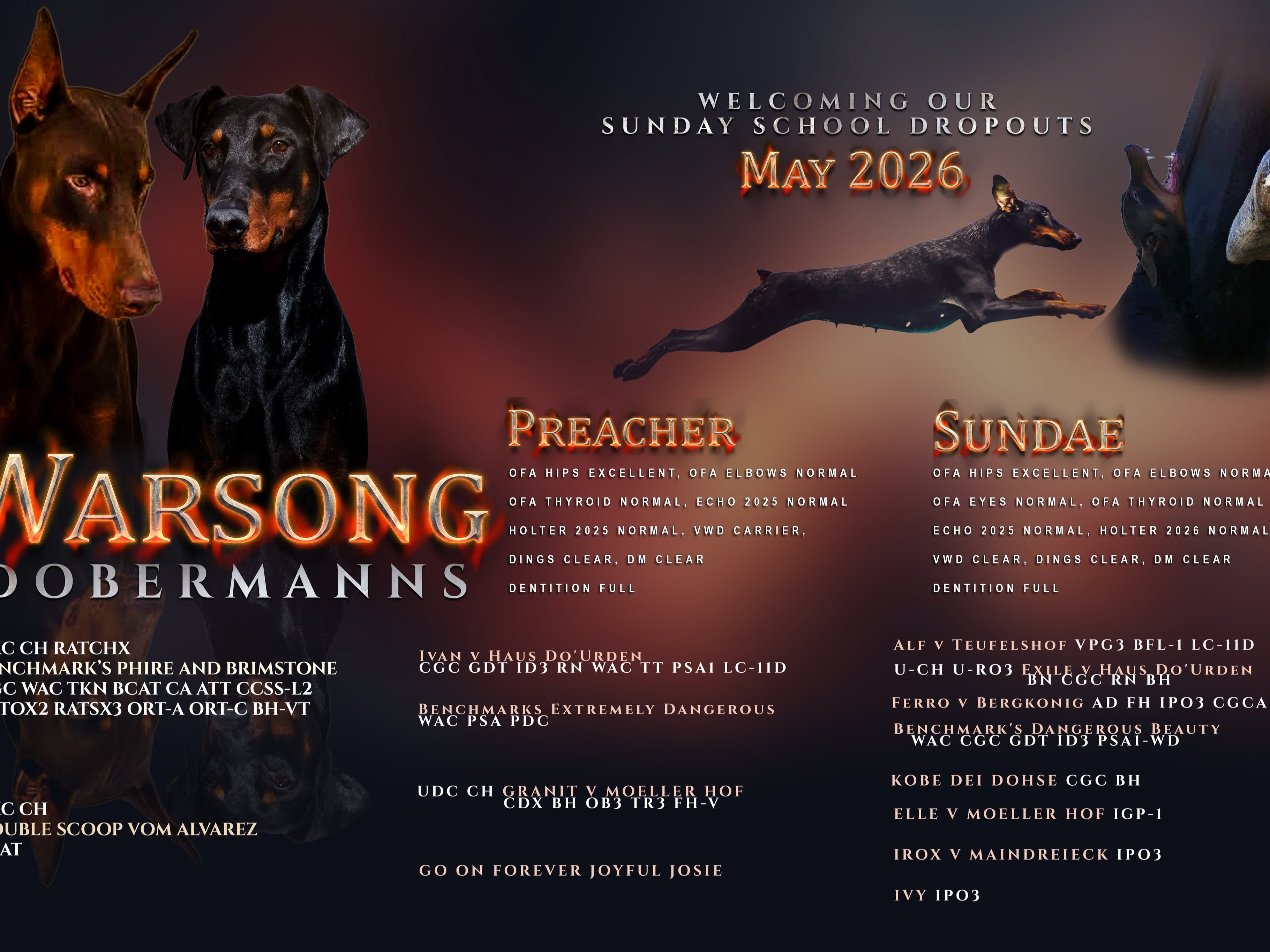 Litter Preacher x Sundae