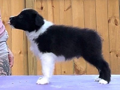 Profile 2