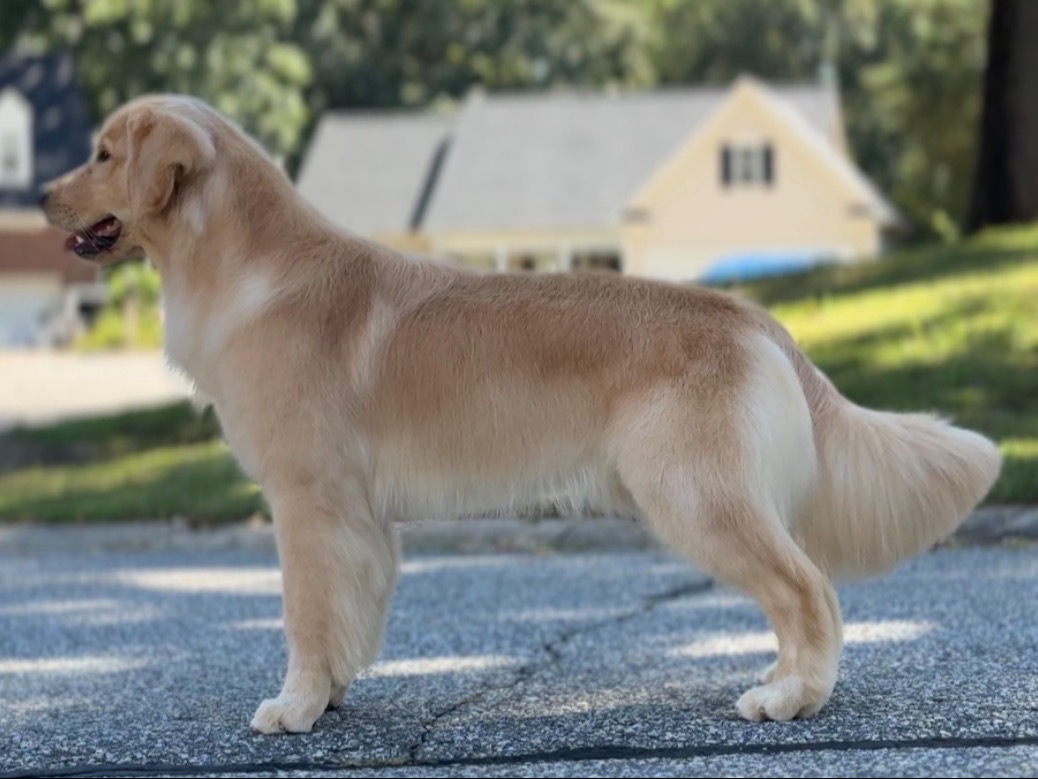 Profile 3