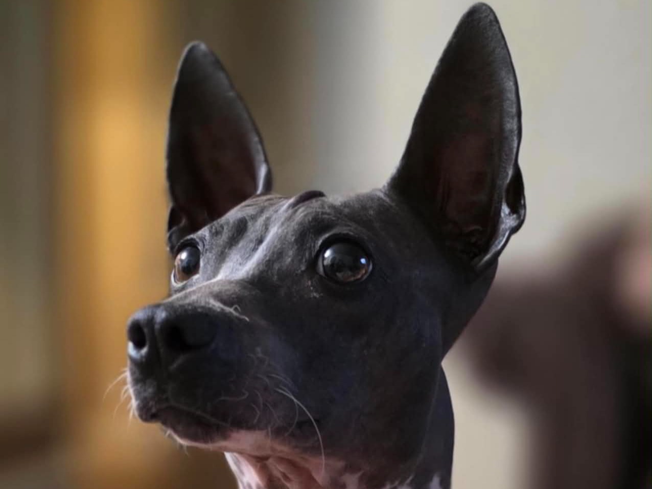 Profile 1