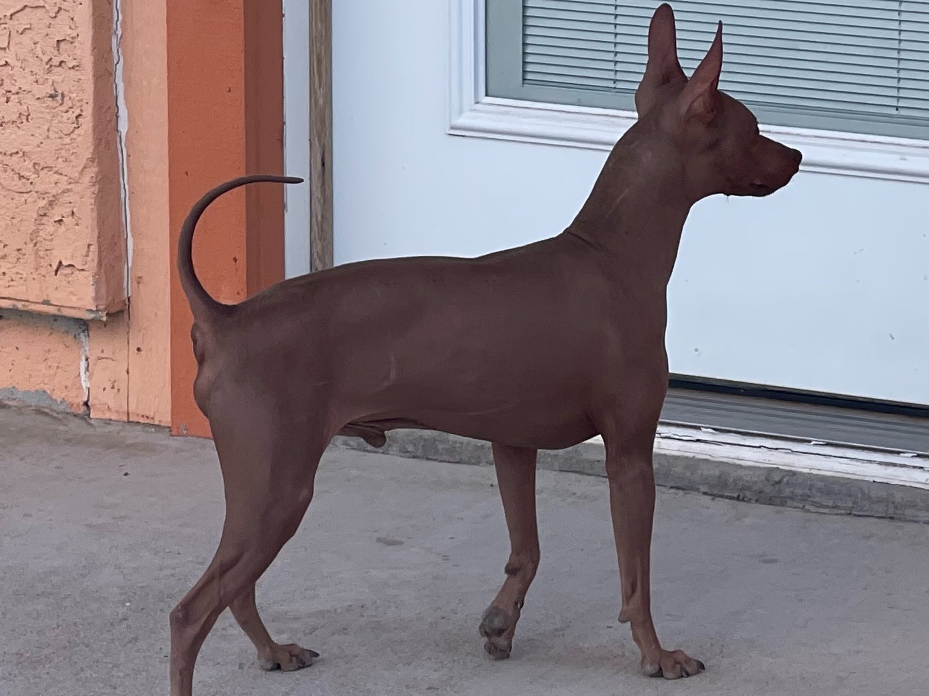 Profile 1